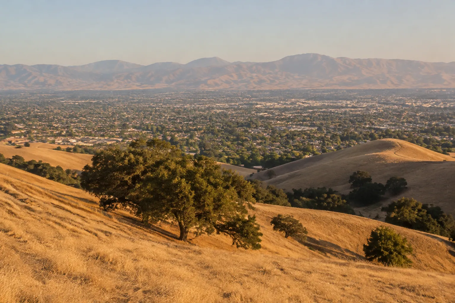Golden hills and oak trees overlooking a suburban valley and distant mountains